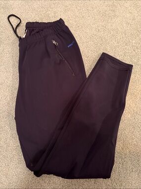 Patagonia soft shell pant